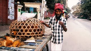 ৩৫ বছর ধরে মুরগীর ব্যবসা করছেন লস খেয়েও ছাড়েননি, লোকটির মুরগীর ব্যবসার রহস্য কি |jiboner proticchobi