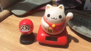 Daruma doll and lucky nekko