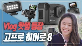 [사용기] 고프로 히어로8 블랙ㅣ유튜버들 다 탐낸다에 한 표!! 뽐뿌각..!!!(고프로, 고프로8, 고프로히어로블랙8 )