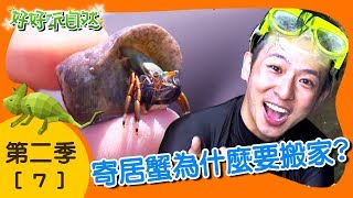 【好好玩自然】海洋偽裝高手！光掌寄居蟹 海蛞蝓｜第7集_第二季｜東北角｜柳丁哥哥 熱血阿傑｜生態探索｜YOYO