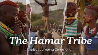 The Hamar Tribe's Bull Jumping Ceremony - Omo Valley Ethiiopia 4K