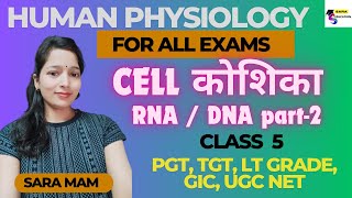 कोशिका  CELLS / RNA DNA/ PGT HUMAN PHYSIOLOGY HOME SCIENCE /  HUMEN PHYSIOLOGY CLASSES BY SARA MAM