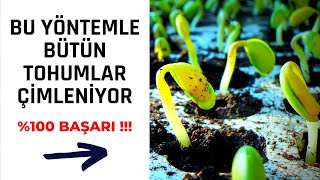 TOHUM ÇİMLENDİRME YÖNTEMİ %100 BAŞARILI