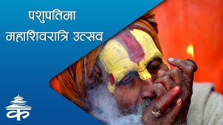 पशुपतिमा महाशिवरात्रि उत्सव | MahaShivaratri