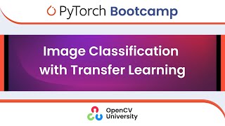 Pytorch Bootcamp for Beginners - 6 | Image Classification Using Transfer Learning