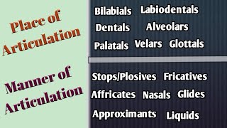 Place and Manner of Articulation in Urdu/Hindi| Articulatory Phonetics| Speech Organs| Speech Sounds