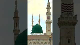 Muhammad Nabi❤️ #allah #muhammad #islam #loveislam #islamivideo #makkah #madina