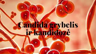 #27 Candida grybelis ir kandidozė