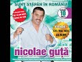 nicolae guta cine aduce bautura audio oficial