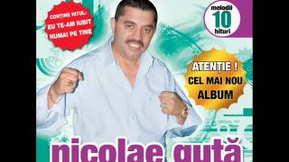 Nicolae Guta - Cine aduce bautura (Audio oficial)