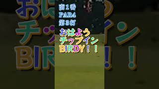 おはようチップインBIRDY #shorts