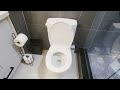 toto drake two piece elongated 1.6 gpf tornado flush toilet review