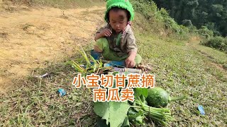 越南5岁男孩小宝，为养活自己和弟弟养父，翻山越岭切甘蔗摘南瓜