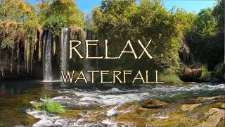 3h Calm Ambient Music 🍃 Relaxing Forest Sounds for Meditation and Concentration