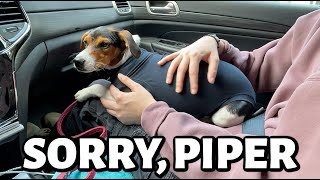 a 'RUFF day for Piper. | Vlog 721