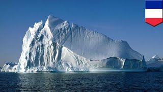 Colossal iceberg: Massive chunk of ice to break off from ancient Antarctic ice shelf - TomoNews