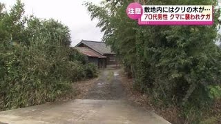 【警戒】７０代男性がクマに襲われケガ　敷地内にはクリの木が　４月以降、クマによる負傷者は５人に 《新潟》