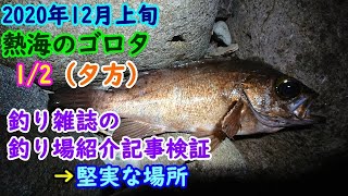 【東伊豆】無難に釣れそうな場所でゴロタメジナ釣り 1/2（夕方編）【2020年12月上旬】