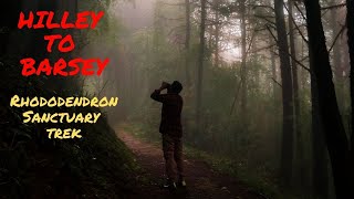 Hilley to Barsey - Rhododendron Sanctuary trek | Sikkim Travel Video