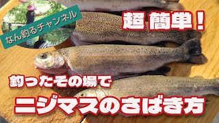 超簡単 釣ったニジマスのさばき方