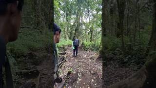 WADUH SAMPAI TERIAK-TERIAK, KECAPEAN ATAU KESURUPAN KODAM-NYA YA😱 #viral  #shorts #gunung #pendaki