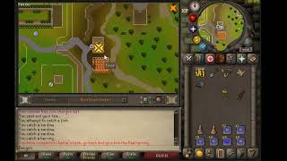 osrs I CORD Anagram clue