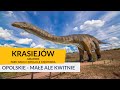 Krasiejów - JuraPark i Park Nauki i Ewolucji Człowieka, Opolskie, małe ale kwitnie