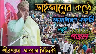 আমি জারি প্রেমের পাগল সেতো মদিনায় | পীরজাদা আব্বাস সিদ্দিকী,Pirzada Abbas Siddique.