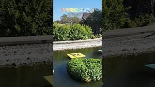 園區山水造景#台中港區藝術中心 歡迎訂閱分享感謝您