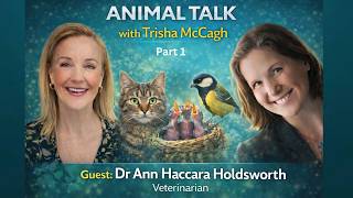 The Sacred Goodbye: Compassion, Choice & the End-of-Life Journey of Animals - Part 1
