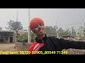 18 ਗਾਵਾਂ ਅਤੇ ਮੱਝਾ ਤੋਕੜ ਗਭਣ ਅਤੇ ਸਜਰ। cows and buffalo for sale vadiya farm 24 12 24