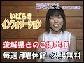 「茨城懐かしニュース08 〜ひたちなか市表町七夕／他」（2001年7月配信）