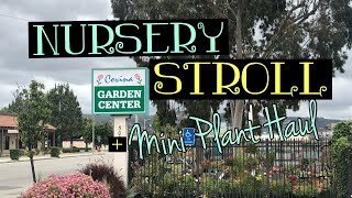 Nursery Stroll | House Plant Haul