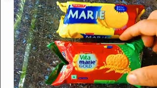 marie gold and parle marie😋