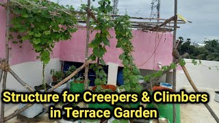 How to Setup a structure for creeper \u0026 clambers in easily |  மாடி தோட்டத்தில் பந்தல் அமைக்கும் முறை