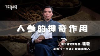 人参除了补脾还有这作用？