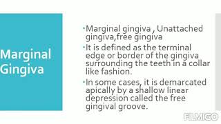 Gingiva Macroscopic Features