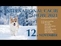 international cacib dog show 2021