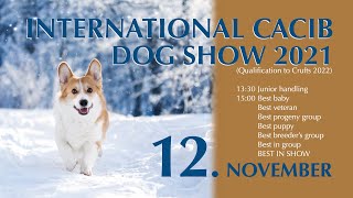 INTERNATIONAL CACIB DOG SHOW 2021