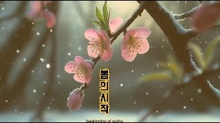 봄의 시작ㅣ첼로와 함께하는 서정의 선율ㅣThe Beginning of Spring | Lyrical Melody with Cello