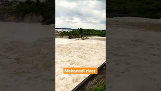 Mahanadi river in full force