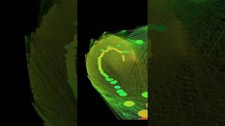 Rendered Sequence - Audio Reactive Visualizer Coded with Processing 4