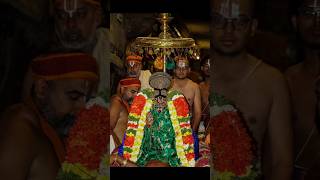 #srirangam 10.2.25 அதிகாலை புறப்பாடு #நம்பெருமாள் #ஸ்ரீரங்கம் #perumal #shorts #bhakti #trending#god