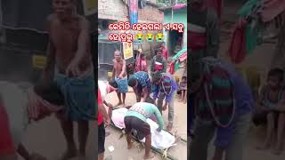 ଏତେ କଷ୍ଟ କଣ ପାଇଁ ଦଉଚ😭😭 #viralvideo #treadingvideo #jagannath #jagannathapuri #jagannathbhajan #puri