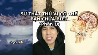NHỮNG SỰ THẬT THÚ VỊ CÓ THỂ BẠN CHƯA BIẾT (PHẦN 1)