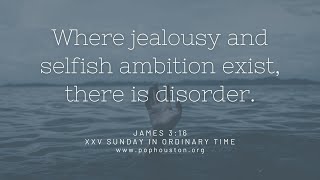 XXV Sunday in Ordinary Time