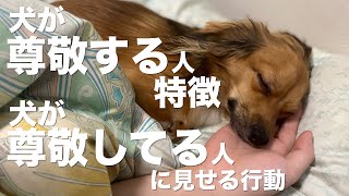 犬に尊敬される人の特徴と犬が尊敬する人にする行動