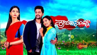 Sravana Sandyaa - New Telugu Serial | 14 March 2023  | Gemini TV