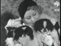 dog fanciers of berlin 1931