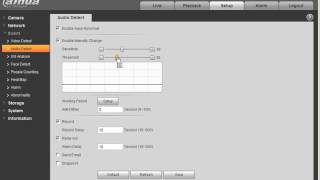 IVS Audio Detect Setup
